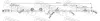 Sensor, Raddrehzahl Hinterachse links FEBEST 04606-007 Bild Sensor, Raddrehzahl Hinterachse links FEBEST 04606-007