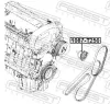 Spannrolle, Keilrippenriemen FEBEST 1087-T250 Bild Spannrolle, Keilrippenriemen FEBEST 1087-T250