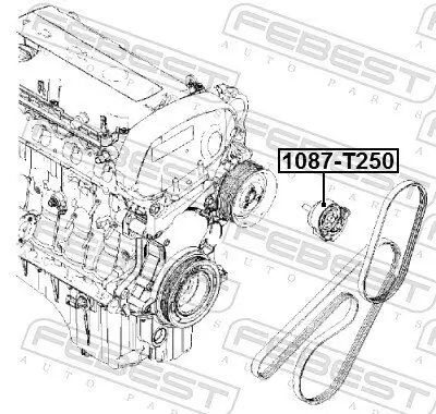 Spannrolle, Keilrippenriemen FEBEST 1087-T250 Bild Spannrolle, Keilrippenriemen FEBEST 1087-T250