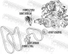 Riemenspanner, Keilrippenriemen unten FEBEST 1090-LY5L Bild Riemenspanner, Keilrippenriemen unten FEBEST 1090-LY5L
