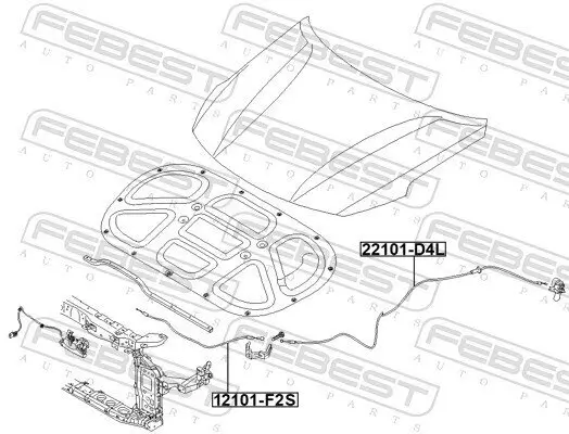 Motorhaubenzug FEBEST 12101-F2S Bild Motorhaubenzug FEBEST 12101-F2S