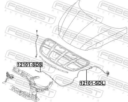 Motorhaubenzug FEBEST 12101-SDS Bild Motorhaubenzug FEBEST 12101-SDS