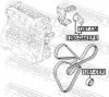 Riemenspanner, Keilrippenriemen FEBEST 1290-G4KEPS Bild Riemenspanner, Keilrippenriemen FEBEST 1290-G4KEPS