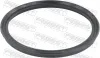 Dichtring, Ladeluftschlauch FEBEST 16400-022