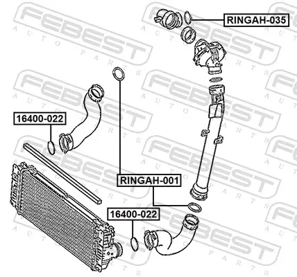 Dichtring, Ladeluftschlauch FEBEST 16400-022 Bild Dichtring, Ladeluftschlauch FEBEST 16400-022