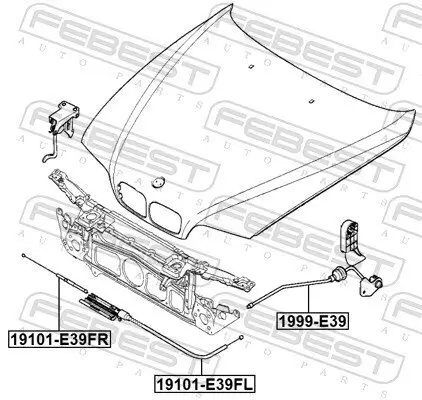 Motorhaubenzug vorne links FEBEST 19101-E39FL Bild Motorhaubenzug vorne links FEBEST 19101-E39FL