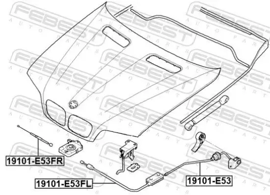 Motorhaubenzug FEBEST 19101-E53FL Bild Motorhaubenzug FEBEST 19101-E53FL