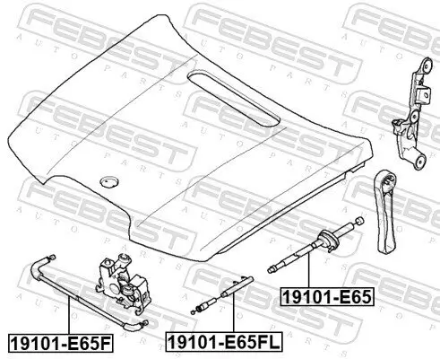 Motorhaubenzug hinten FEBEST 19101-E65 Bild Motorhaubenzug hinten FEBEST 19101-E65