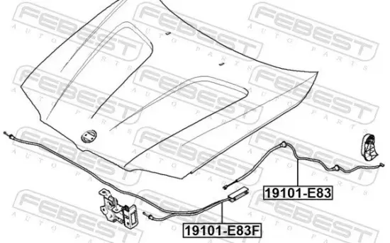 Motorhaubenzug FEBEST 19101-E83 Bild Motorhaubenzug FEBEST 19101-E83