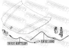 Motorhaubenzug FEBEST 19101-E87TU2F Bild Motorhaubenzug FEBEST 19101-E87TU2F