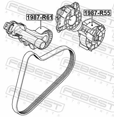Spannrolle, Keilrippenriemen FEBEST 1987-R61 Bild Spannrolle, Keilrippenriemen FEBEST 1987-R61