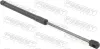 Gasfeder, Koffer-/Laderaum FEBEST 22117-007