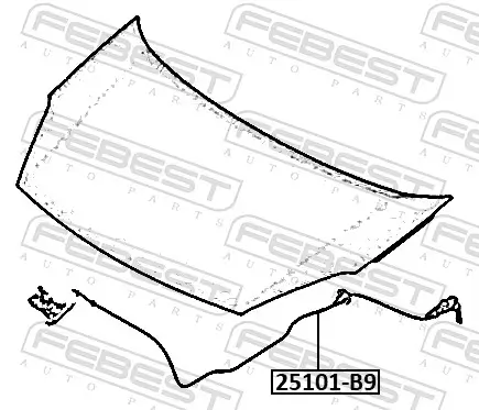 Motorhaubenzug FEBEST 25101-B9 Bild Motorhaubenzug FEBEST 25101-B9