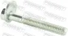 Sturzkorrekturschraube FEBEST 2529-001