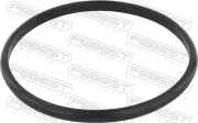 Dichtring, Ölkühler (Schmierung) FEBEST 27400-005