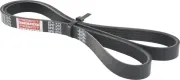 Keilrippenriemen FEBEST 88127-5L1270