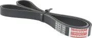 Keilrippenriemen FEBEST 88128-6L1093