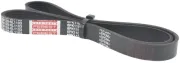 Keilrippenriemen FEBEST 88128-6L1103