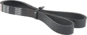 Keilrippenriemen FEBEST 88128-6L1130