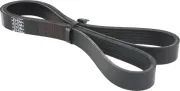 Keilrippenriemen FEBEST 88128-6L1173