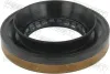 Wellendichtring, Gelenkwellenmittellager FEBEST 95HES-41741218L Bild Wellendichtring, Gelenkwellenmittellager FEBEST 95HES-41741218L