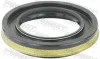 Wellendichtring, Schaltgetriebehauptwelle FEBEST 95HES-55851016L Bild Wellendichtring, Schaltgetriebehauptwelle FEBEST 95HES-55851016L