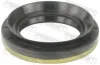 Wellendichtring, Differential getriebeseitig FEBEST 95MEY-40620813C Bild Wellendichtring, Differential getriebeseitig FEBEST 95MEY-40620813C