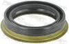 Wellendichtring, Antriebswelle FEBEST 95MEY-44601213C Bild Wellendichtring, Antriebswelle FEBEST 95MEY-44601213C