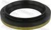 Wellendichtring, Differential Hinterachse FEBEST 95MEY-45650913R