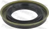 Wellendichtring, Differential hintere Gelenkwelle an Differential FEBEST 95MFS-49801112R