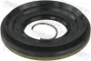 Wellendichtring, Differential Hinterachse FEBEST 95PES-501001015C Bild Wellendichtring, Differential Hinterachse FEBEST 95PES-501001015C