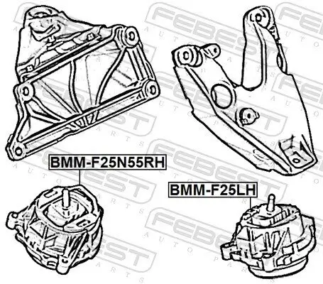 Lagerung, Motor rechts FEBEST BMM-F25N55RH Bild Lagerung, Motor rechts FEBEST BMM-F25N55RH