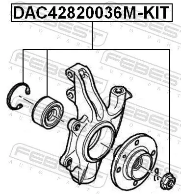 Radlagersatz Vorderachse FEBEST DAC42820036M-KIT Bild Radlagersatz Vorderachse FEBEST DAC42820036M-KIT