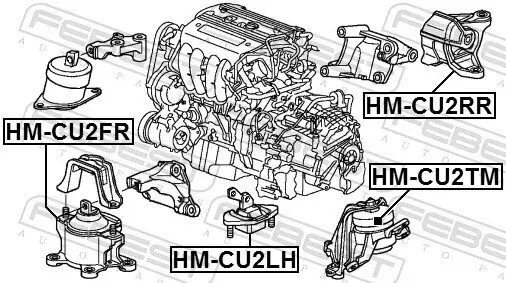 Lagerung, Motor hinten FEBEST HM-CU2RR Bild Lagerung, Motor hinten FEBEST HM-CU2RR