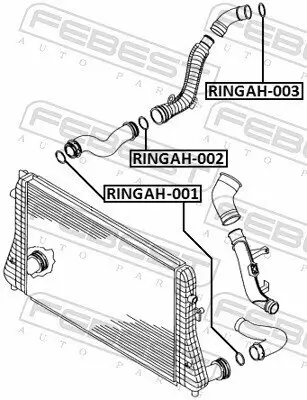 Dichtring, Ladeluftschlauch FEBEST RINGAH-001 Bild Dichtring, Ladeluftschlauch FEBEST RINGAH-001