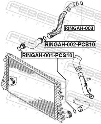 Dichtring, Ladeluftschlauch FEBEST RINGAH-002-PCS10 Bild Dichtring, Ladeluftschlauch FEBEST RINGAH-002-PCS10