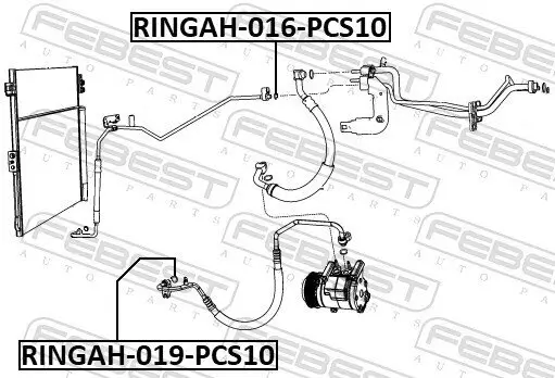 Dichtring, Kältemittelleitung FEBEST RINGAH-019-PCS10 Bild Dichtring, Kältemittelleitung FEBEST RINGAH-019-PCS10