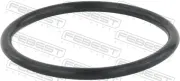 Dichtring, Ladeluftschlauch FEBEST RINGAH-035
