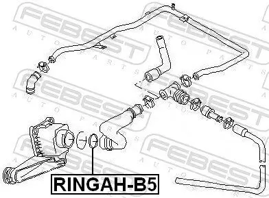 Dichtung, Leitung AGR-Ventil FEBEST RINGAH-B5 Bild Dichtung, Leitung AGR-Ventil FEBEST RINGAH-B5