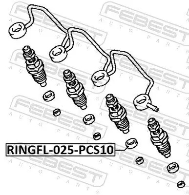 Dichtring, Einspritzventil FEBEST RINGFL-025-PCS10 Bild Dichtring, Einspritzventil FEBEST RINGFL-025-PCS10