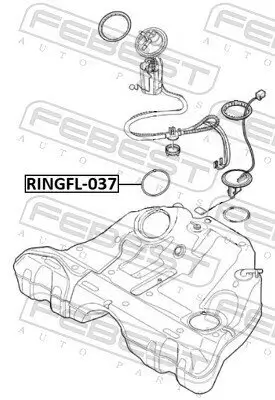 Dichtung, Tankgeber FEBEST RINGFL-037 Bild Dichtung, Tankgeber FEBEST RINGFL-037