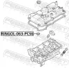 Dichtring, Kerzenschacht FEBEST RINGOL-063-PCS6 Bild Dichtring, Kerzenschacht FEBEST RINGOL-063-PCS6