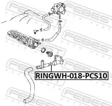 Dichtung, Kühlmittelflansch FEBEST RINGWH-018-PCS10 Bild Dichtung, Kühlmittelflansch FEBEST RINGWH-018-PCS10