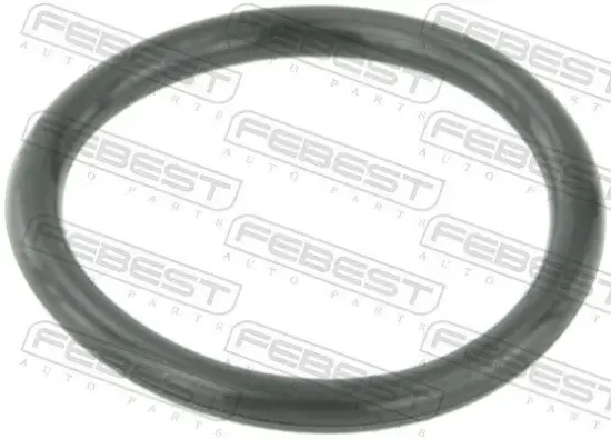 Dichtung, Kühlmittelflansch FEBEST RINGWH-B5 Bild Dichtung, Kühlmittelflansch FEBEST RINGWH-B5