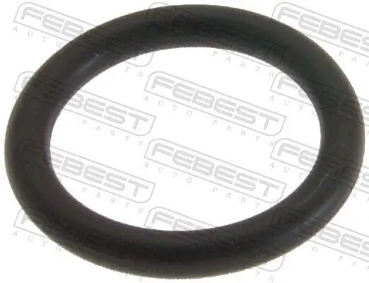 Dichtring, Kerzenschacht FEBEST SZCP-002