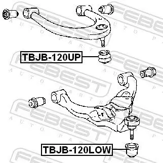 Reparatursatz, Trag-/Führungsgelenk FEBEST TBJB-120LOW Bild Reparatursatz, Trag-/Führungsgelenk FEBEST TBJB-120LOW