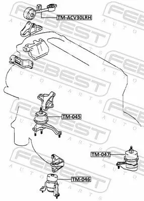 Lagerung, Motor FEBEST TM-045 Bild Lagerung, Motor FEBEST TM-045