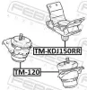 Lagerung, Motor vorne FEBEST TM-120 Bild Lagerung, Motor vorne FEBEST TM-120