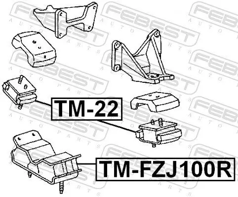 Lagerung, Motor vorne FEBEST TM-22 Bild Lagerung, Motor vorne FEBEST TM-22