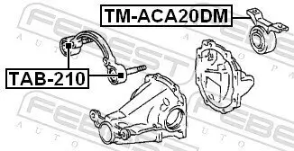 Lagerung, Differential Hinterachse FEBEST TM-ACA20DM Bild Lagerung, Differential Hinterachse FEBEST TM-ACA20DM